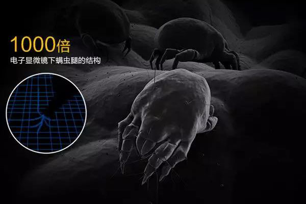 螨蟲高發(fā)季,家用除濕機除螨有妙計!